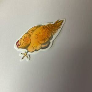 CHICKEN STICKER‎